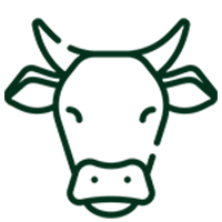 Cow Based Products